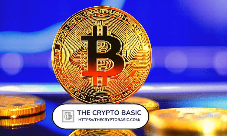 Stablecoin供应在2025年第一季度超过200亿美元：对比特币复苏的影响是什么？